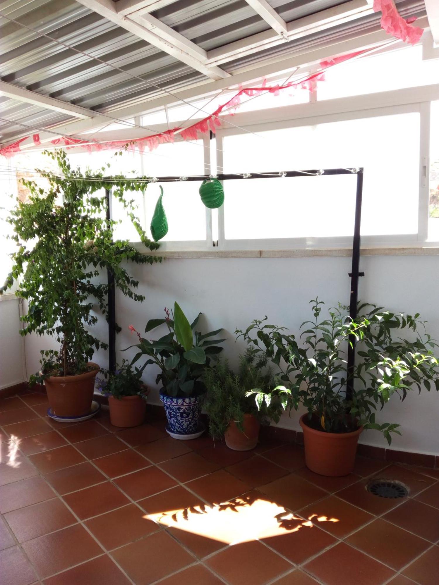 Hostal Rural Montual Los Baños Exteriör bild